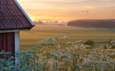 Kuka maksaa laadun tuottamisen?