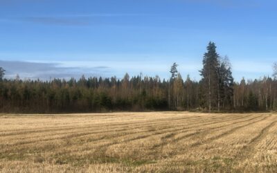 Yhdessä rintamassa toimiva järjestö on sen vahvin voimavara 